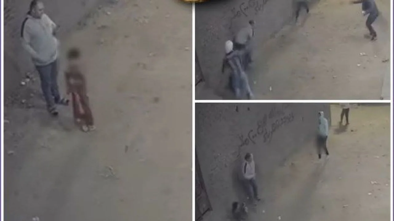 اعتداء بسلاح خرطوش.. كاميرات المراقبة توثق لحظة إصابة أب ونجله بمصر مصرة